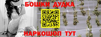 шишки Кимры