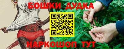 Альфа ПВП Сланцы