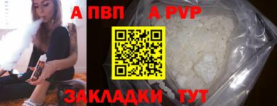 шишки Кимры