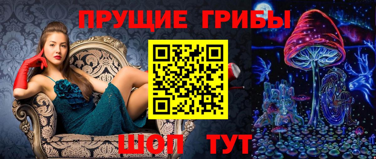Кинель  Псилоцибиновые грибы Cubensis  Вход с VPN 